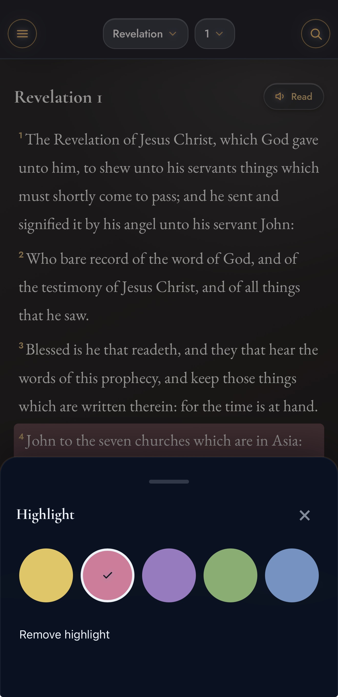 EchoChiasm Bible study